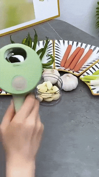 4 in 1 Portable Electric Vegetable Cutter Set